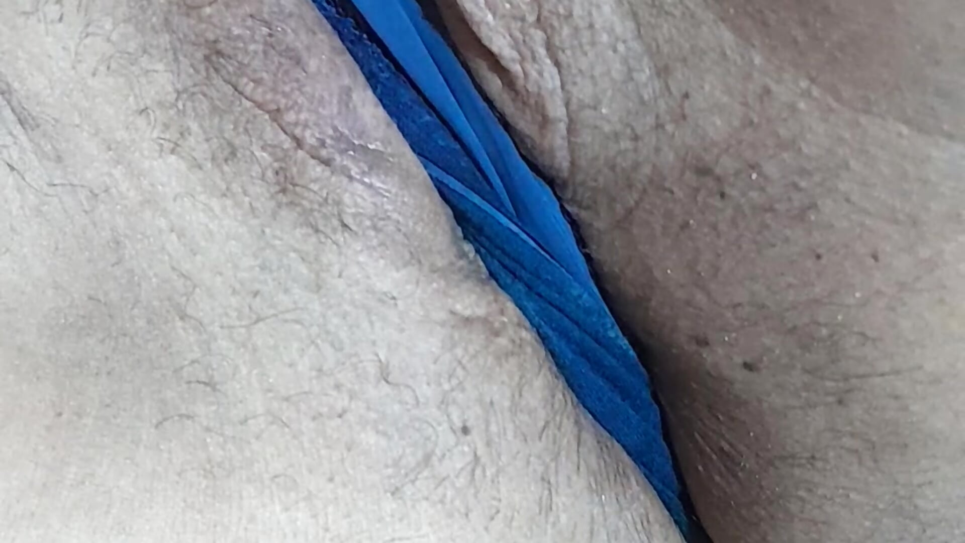 1000034504 - video by Floriwe