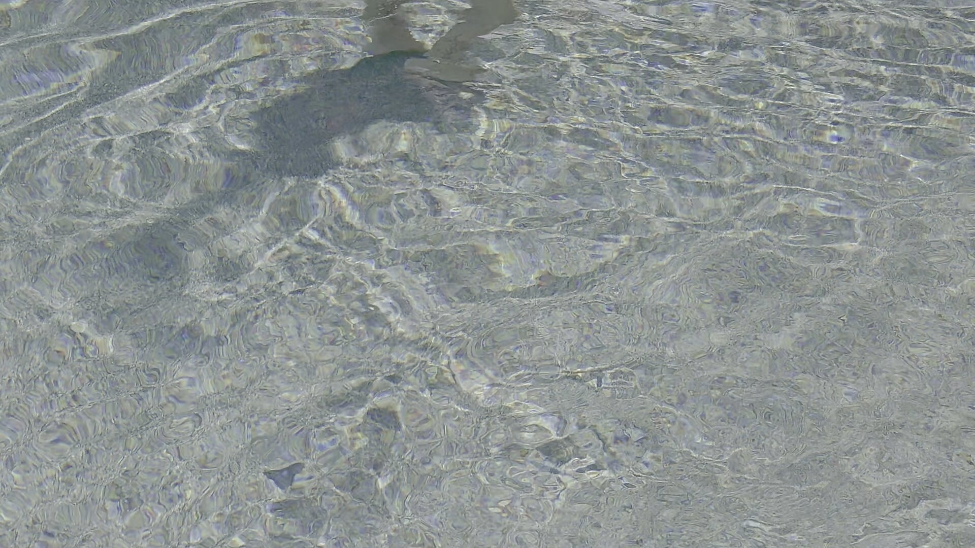 20250603_131158 - відео від вебкаммоделі Clevername90