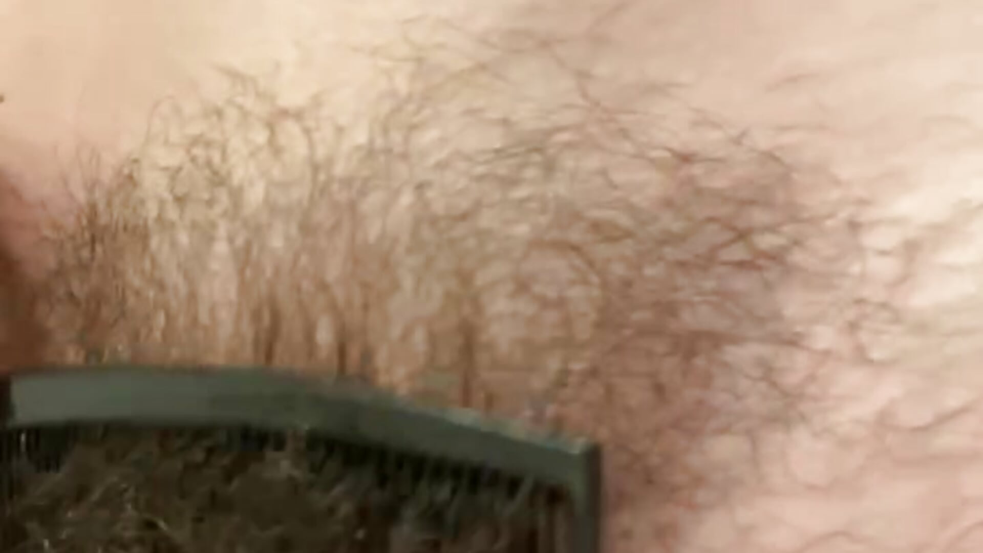 about to trim 0:) <3 - video by lil_martian cam model