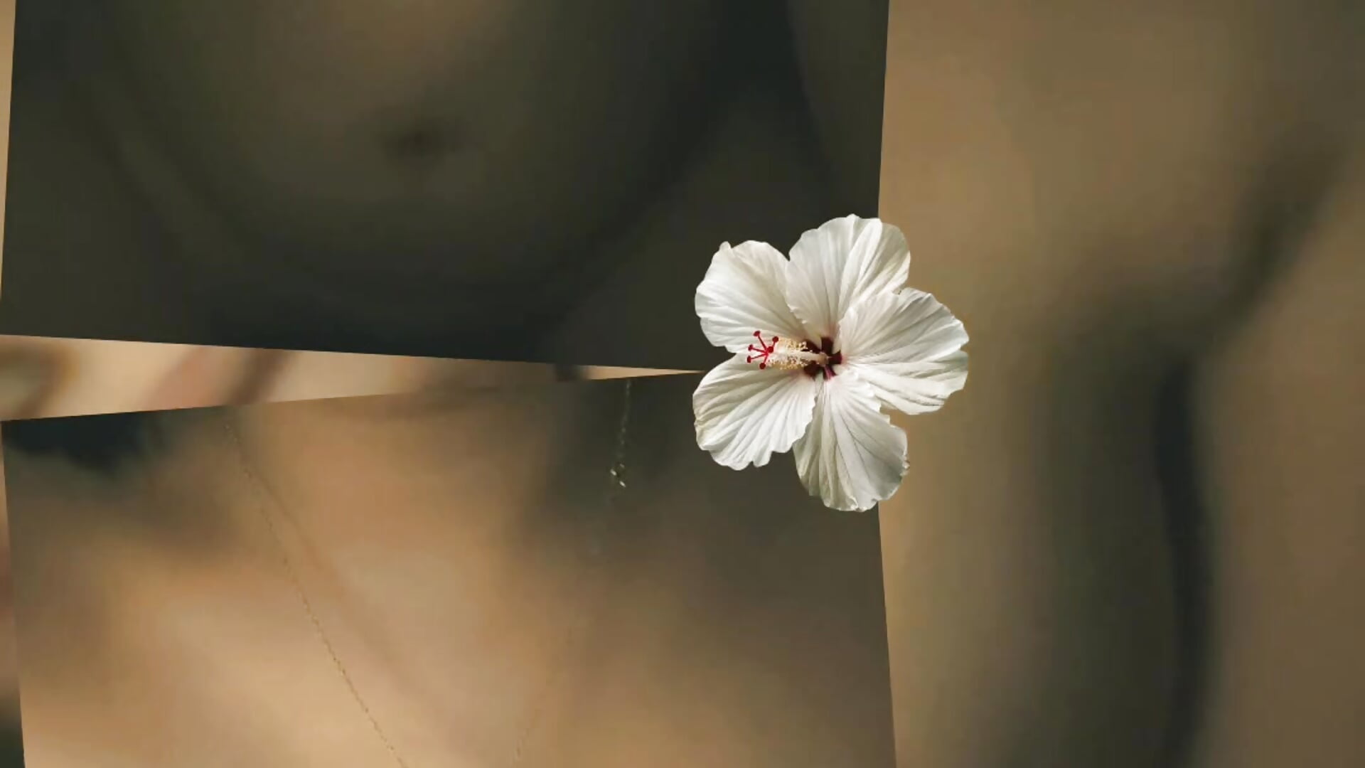 小騷貓咪 - video by CC20278 cam model