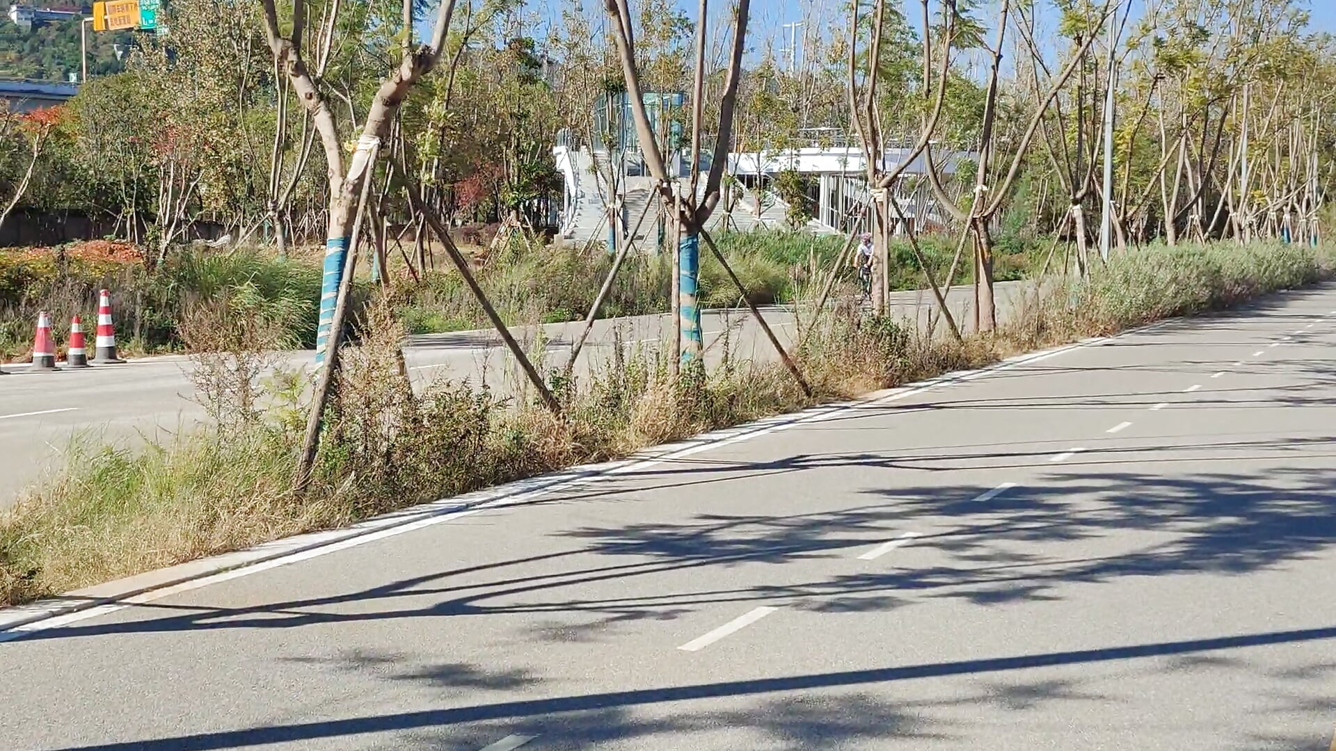肛塞骑行哦 - lan-m主播的视频
