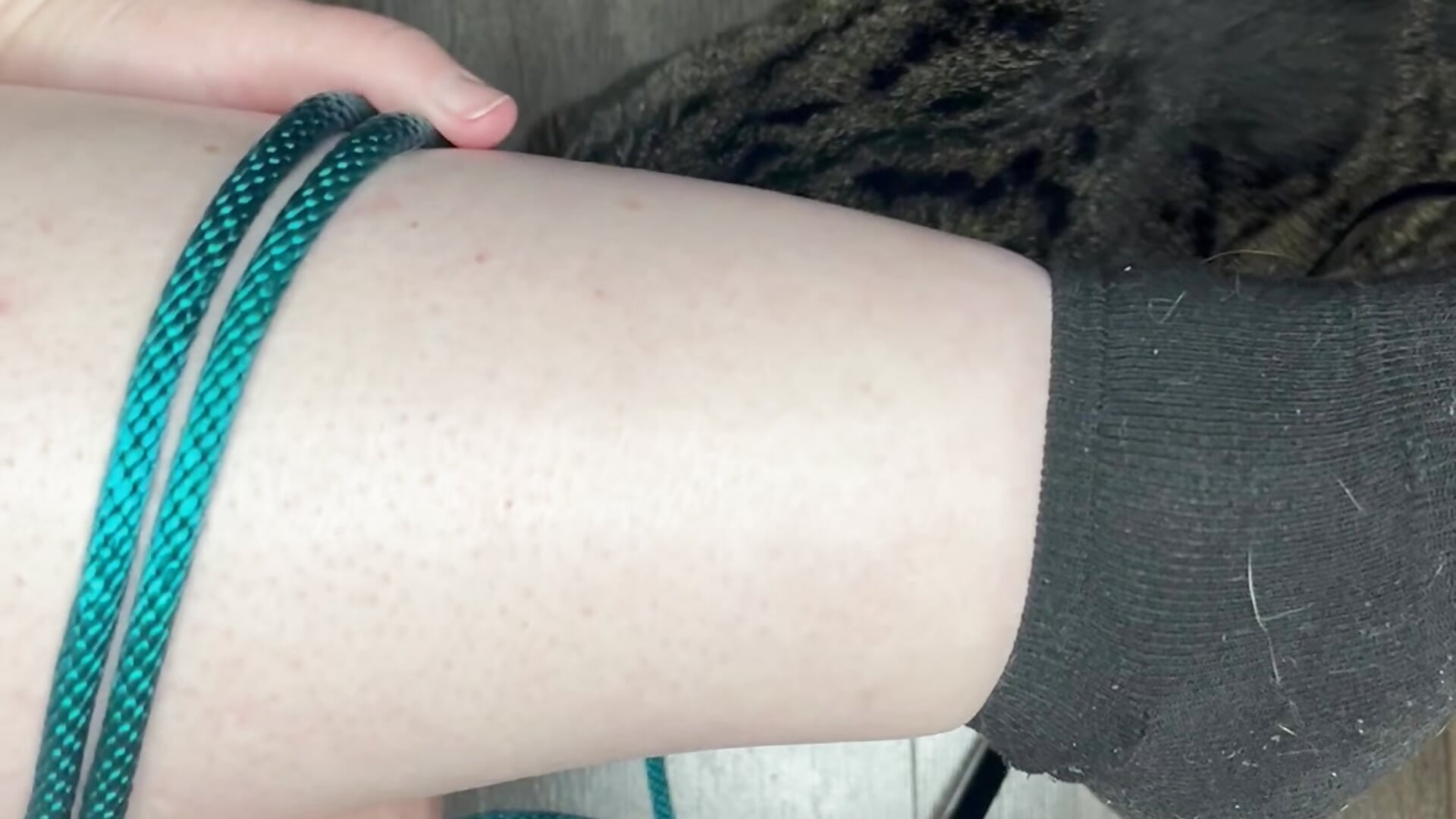 Eastern single column demo - video by CosmicCupcake525