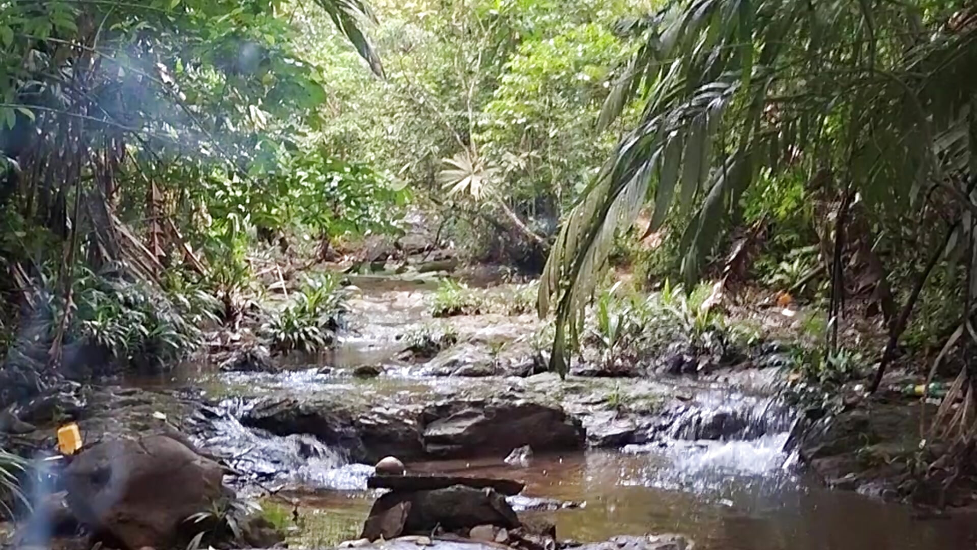 1000178010 - vídeo de LecheDeTuMicha modelo de câmara