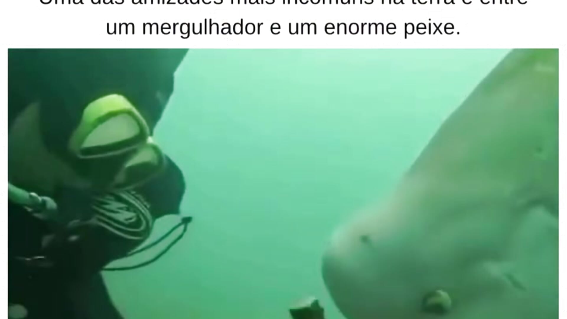 RRR. - vídeo de LecheDeTuMicha modelo de câmara