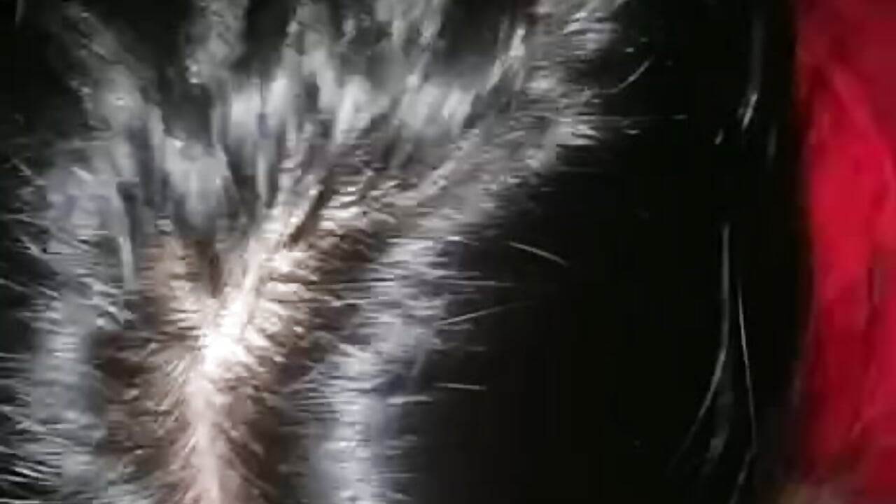 sucking cock