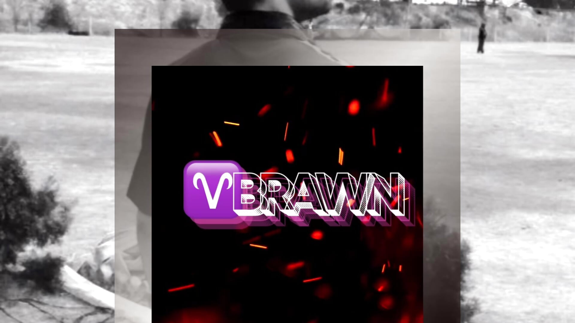 Red Black Grey Modern Elegant Fashion Instagram Video Promo－カメラキャストのVBRAWN01の動画