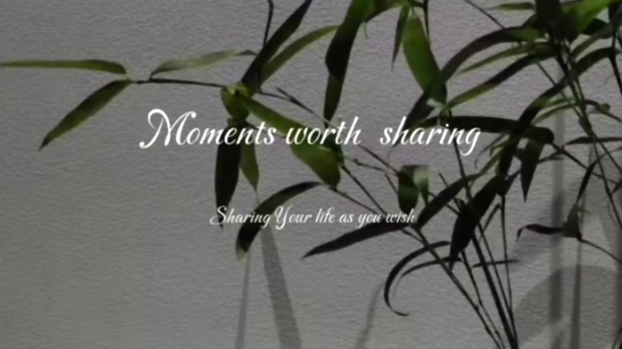✨ Moments worth sharing
