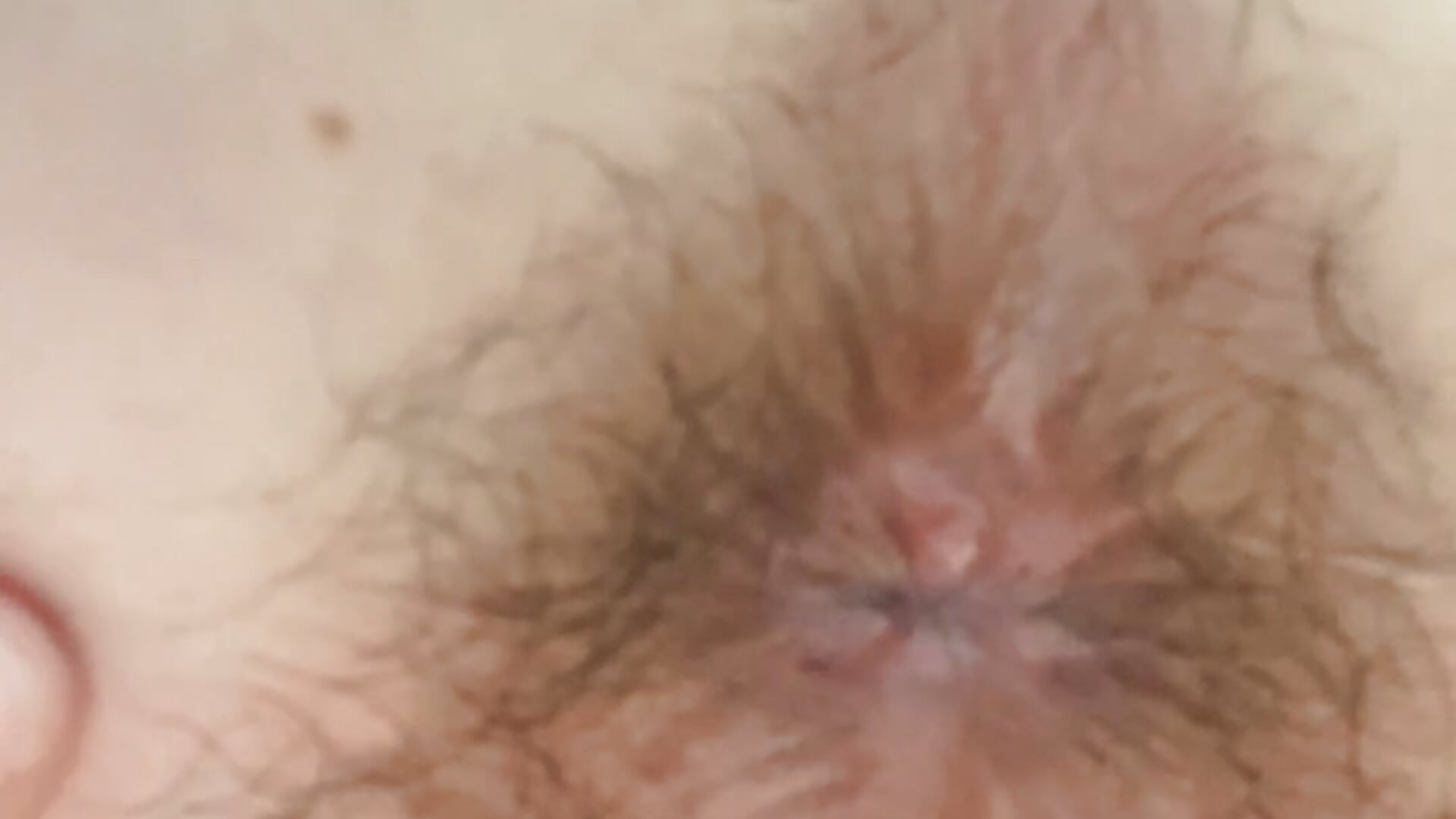菊花爱爱