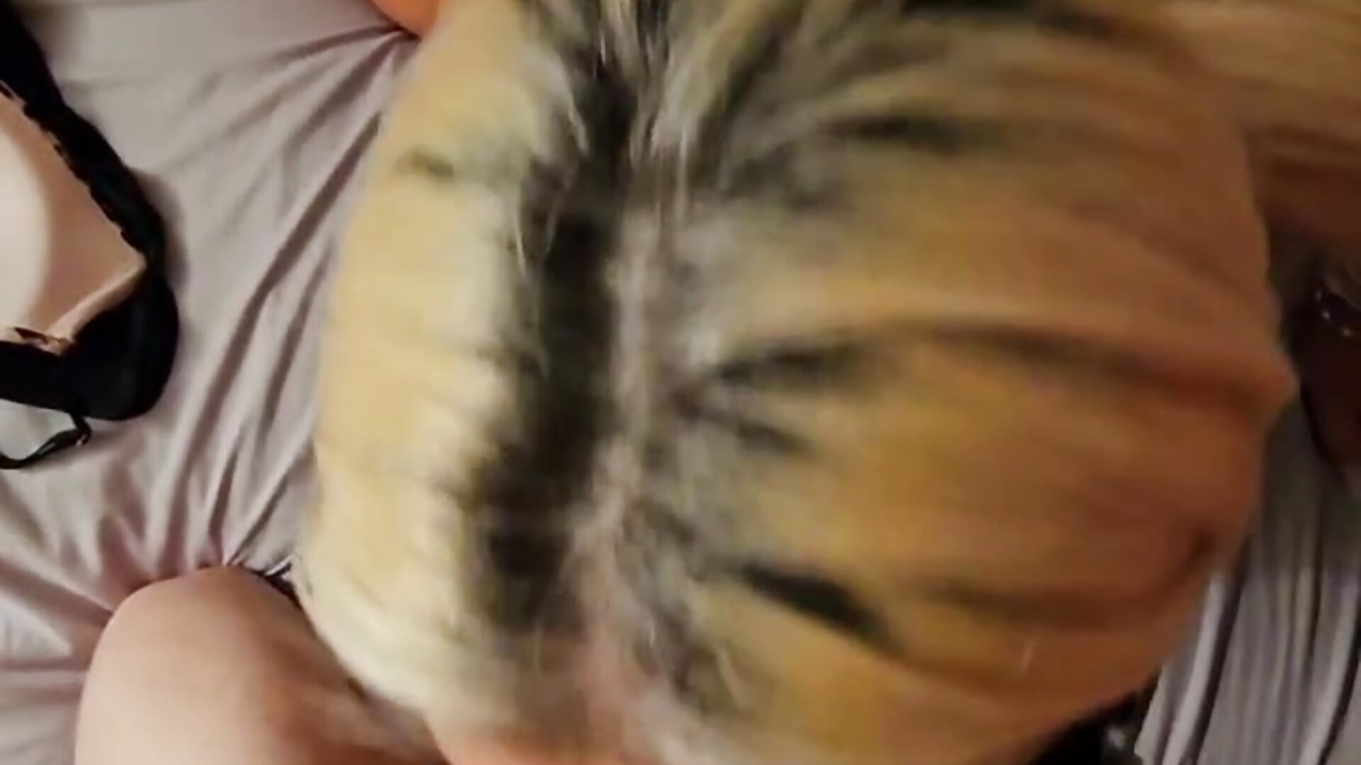 Blowjob for two guys - видео от уебкам модела Blondi_my