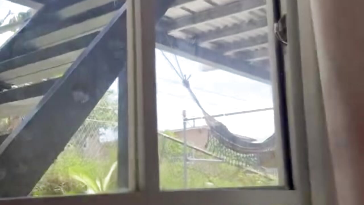 flash boobs at my neighbor
