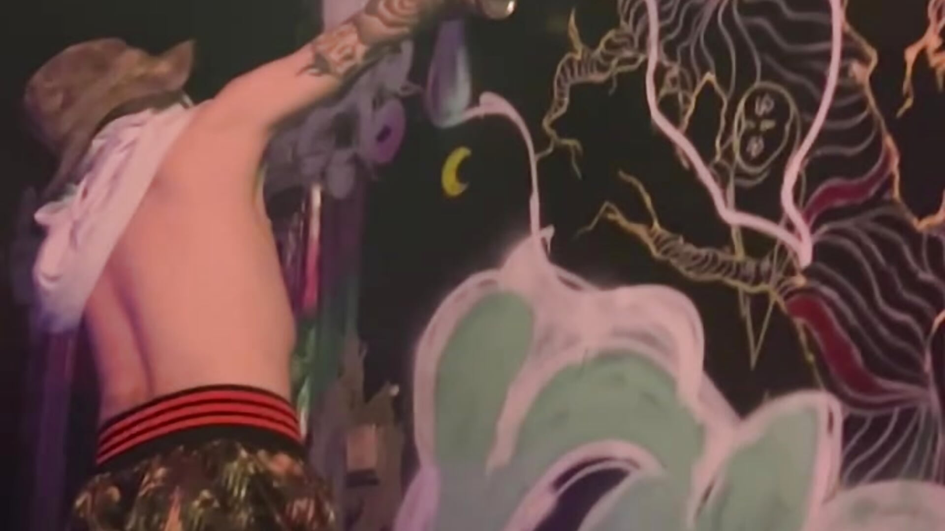 PAINTING – video af Sattanhomes cam-model