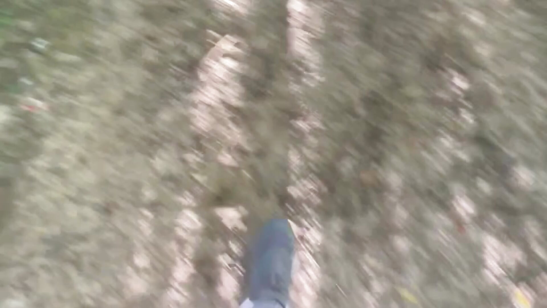 Walking trail