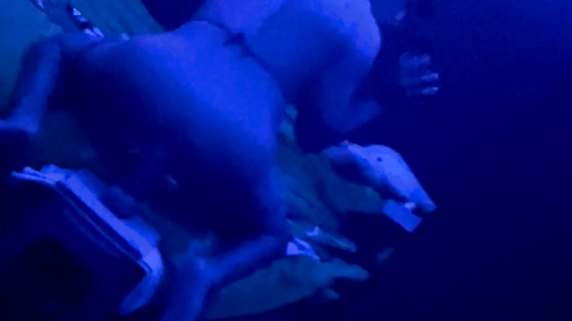 Jugando un ratico 🤫🫦🥵🔥 – video korisnika AndReySex21