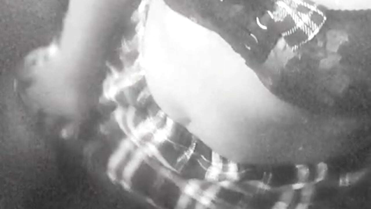 Love me