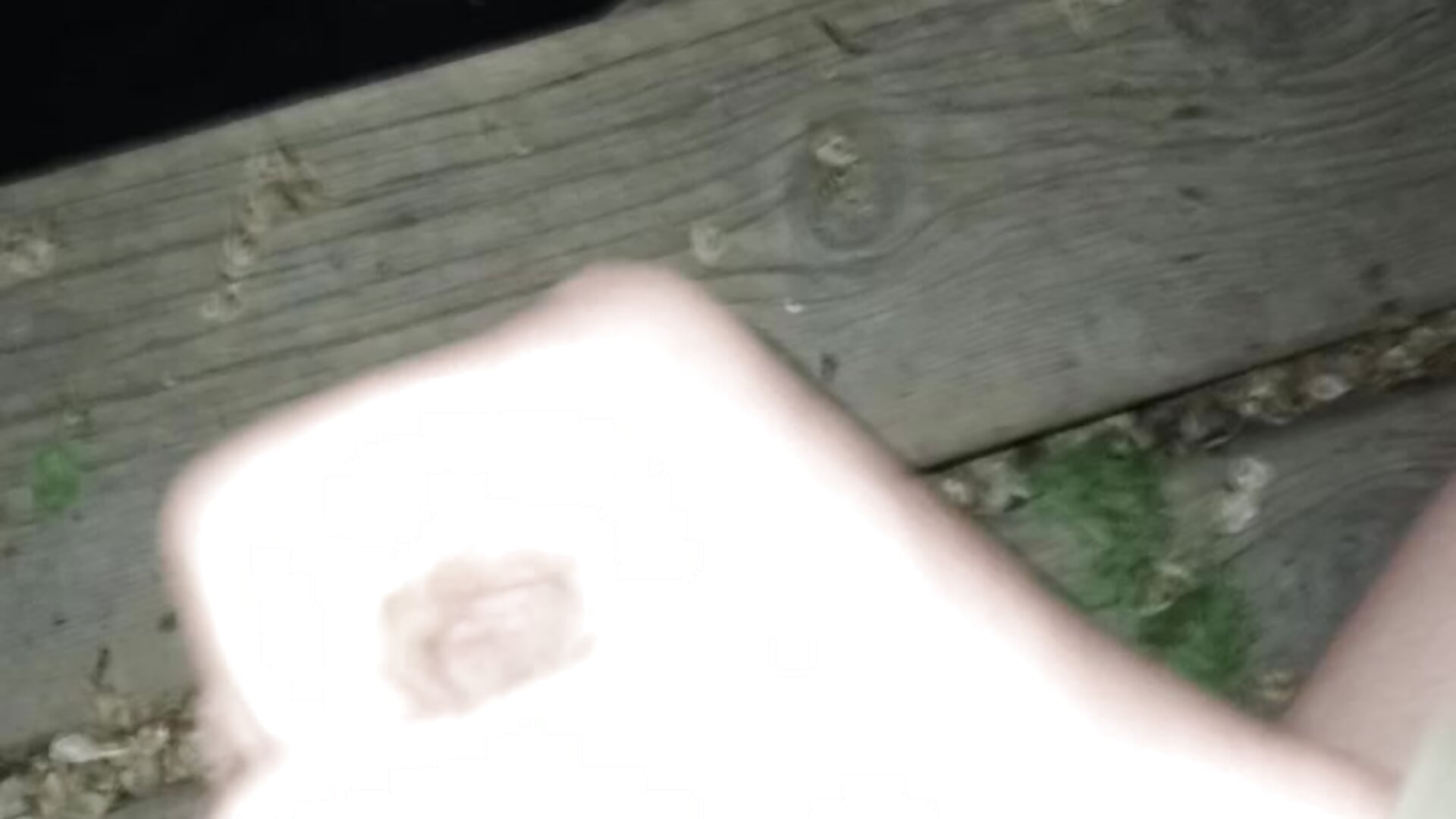 Outside - vidéo du modèle de showcams zigzog_