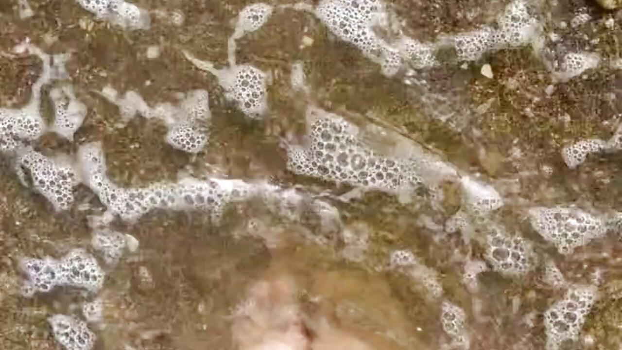 Favorite massage🤤 - vídeo de Lily_Lin_ modelo de câmara