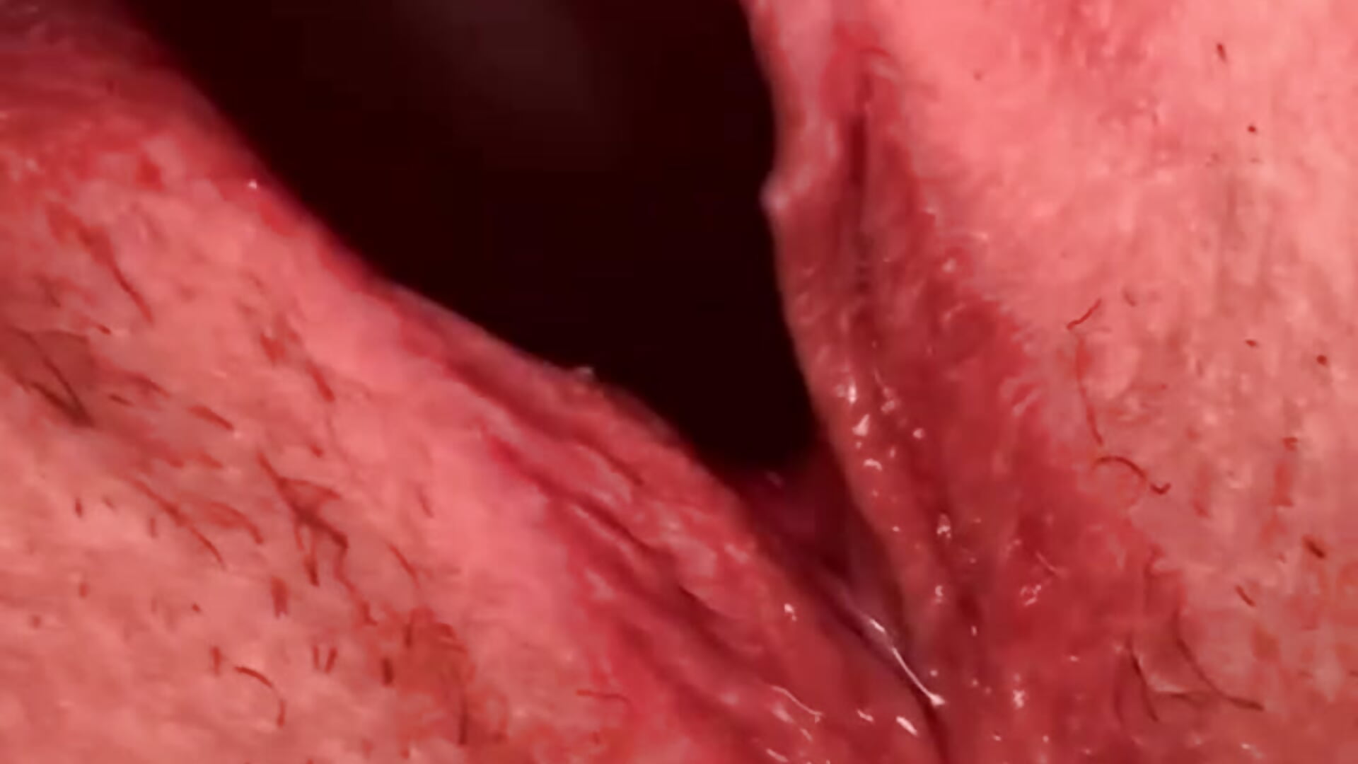 Lèche ma mouille 🥵 - video od modelky/modela catgirl55