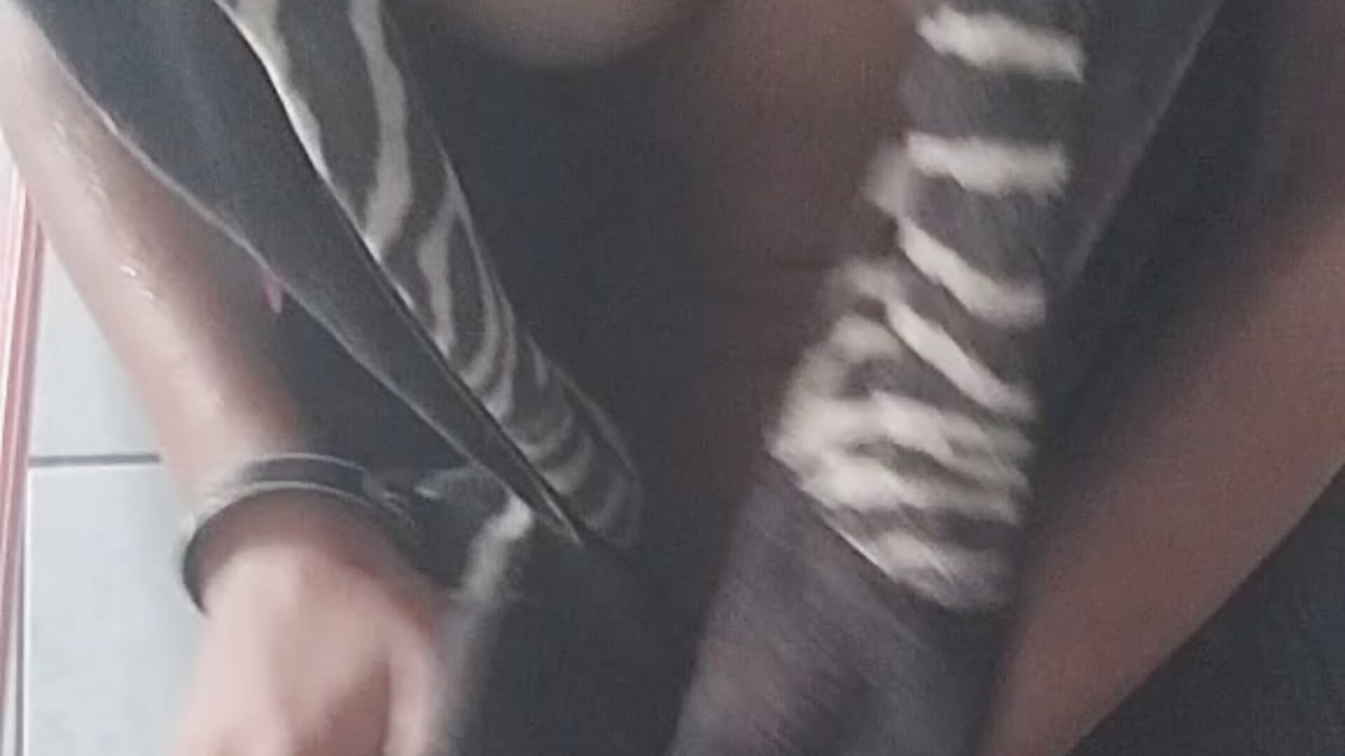 1000183219 - Vídeo de anim1301, modelo de vídeos