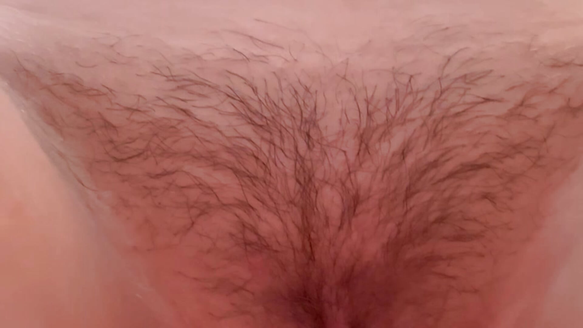 Vid 22 - Anal Doggy Style (Pussy View)