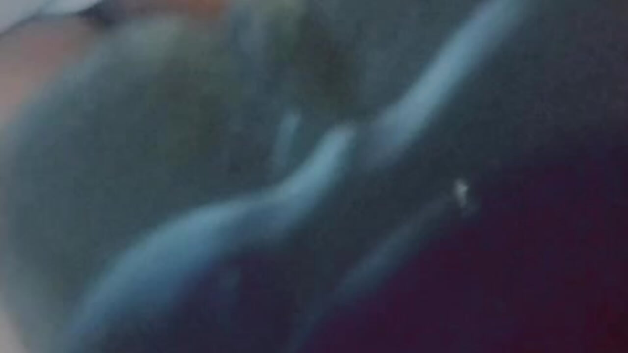 WhatsApp Video 2026-08-10 at 04,23,52