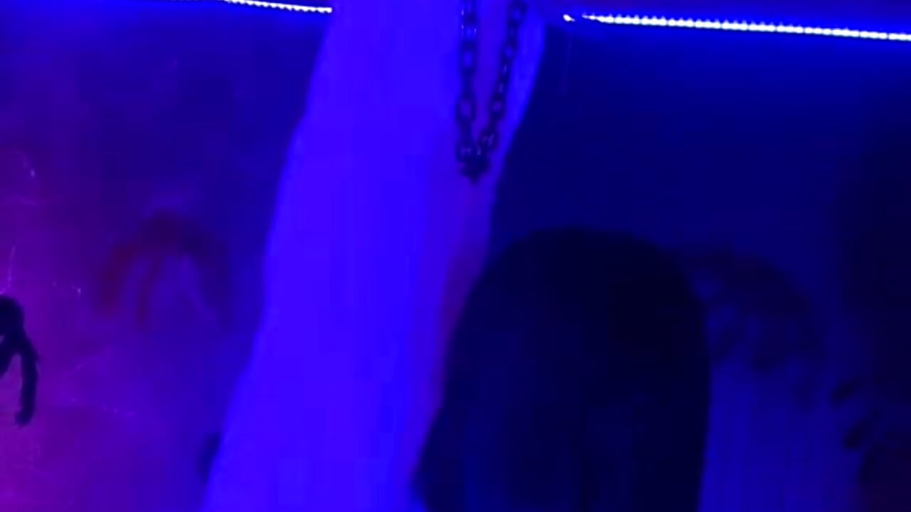 hallowen 🎃🎃😈☠ - Video von roxane_vega