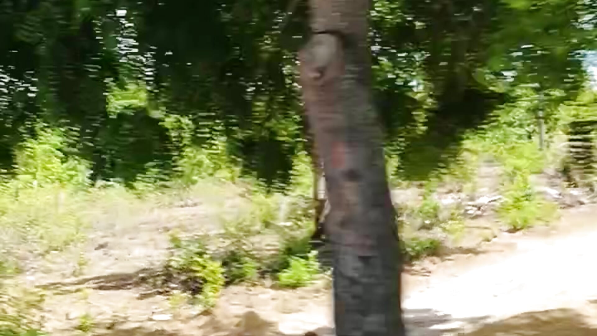Nietzz - вебкам модель избранные видео 6250
