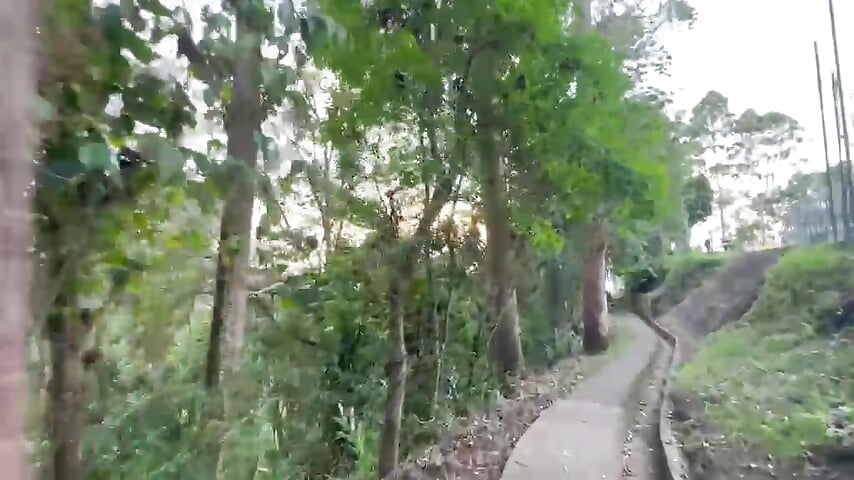 I love skating and sunsets. - Vídeo de maximo_2019, modelo de vídeos