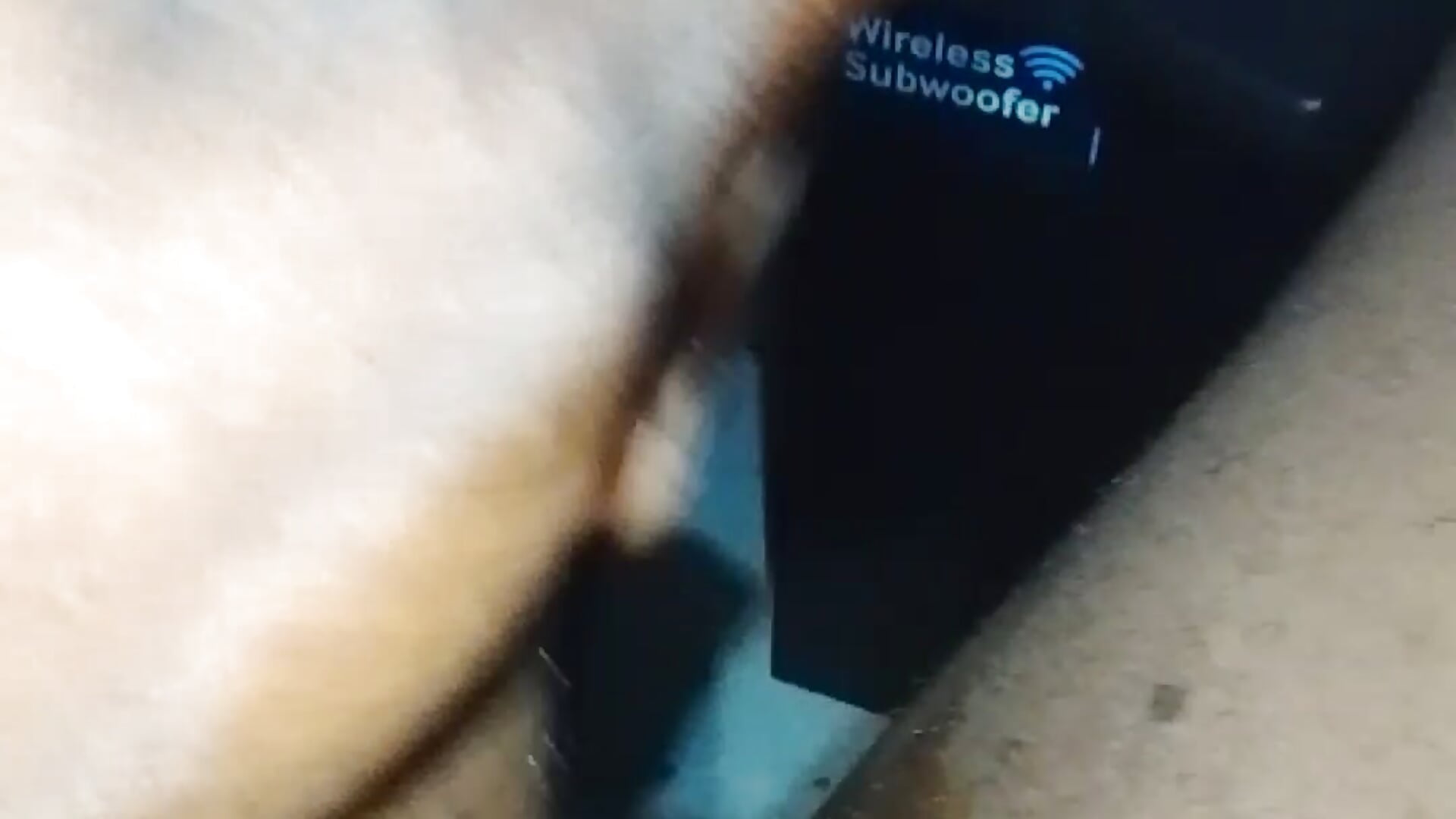 1000054097 - video by MedicinesPILL cam model