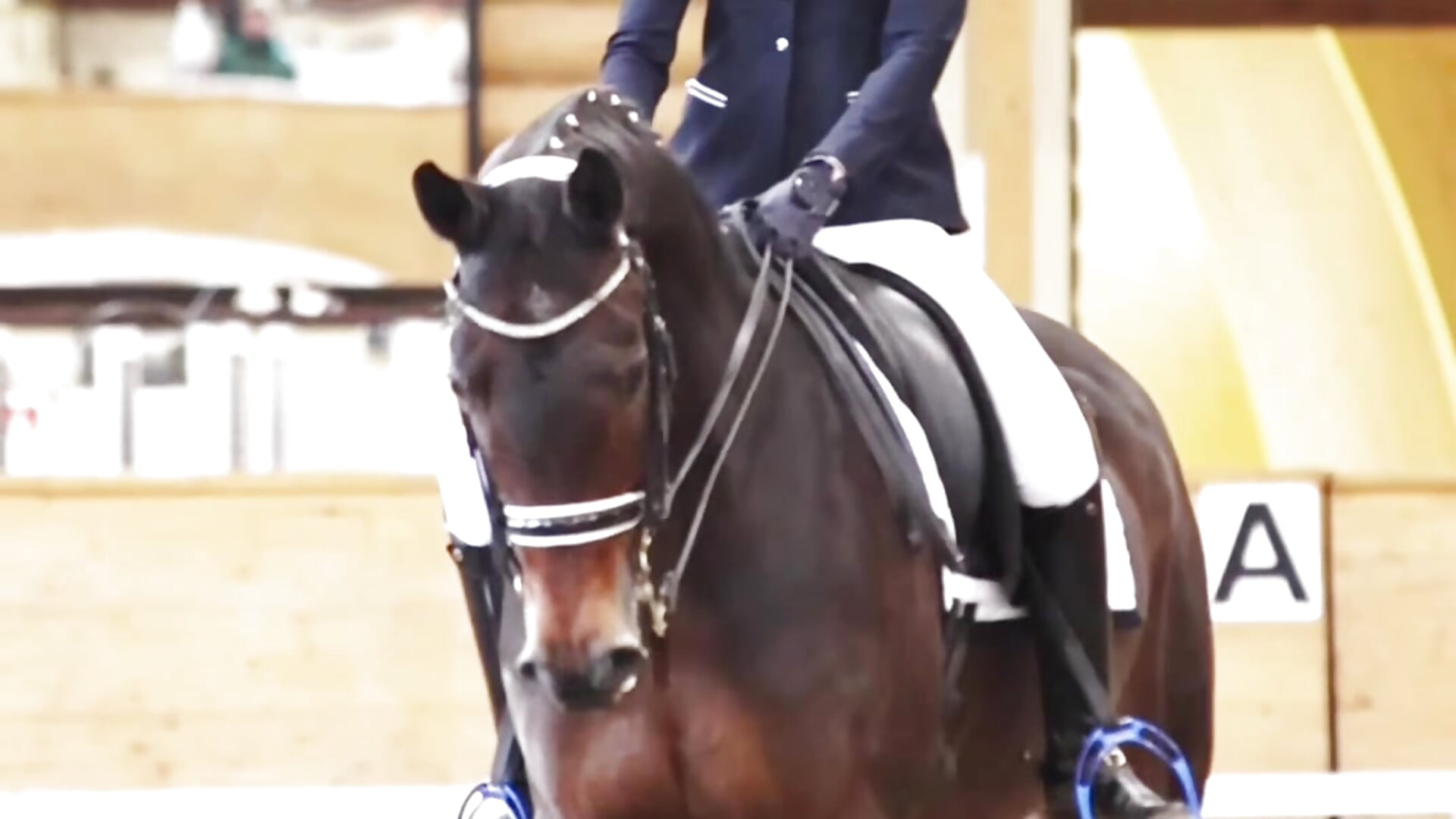 Equestrian - Vídeo de AllayingShrine, modelo de vídeos