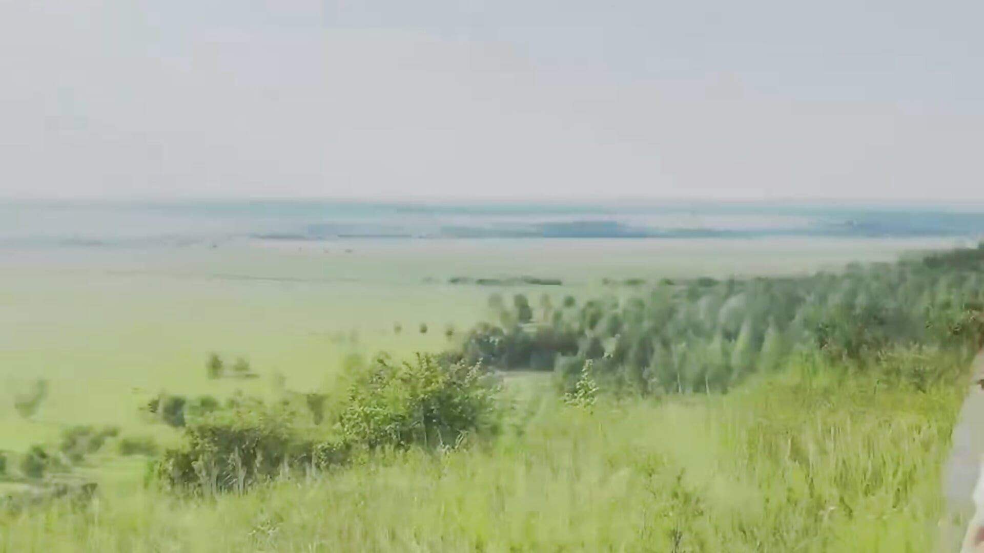 Nature🌿 - video của người mẫu cam Emmiennova