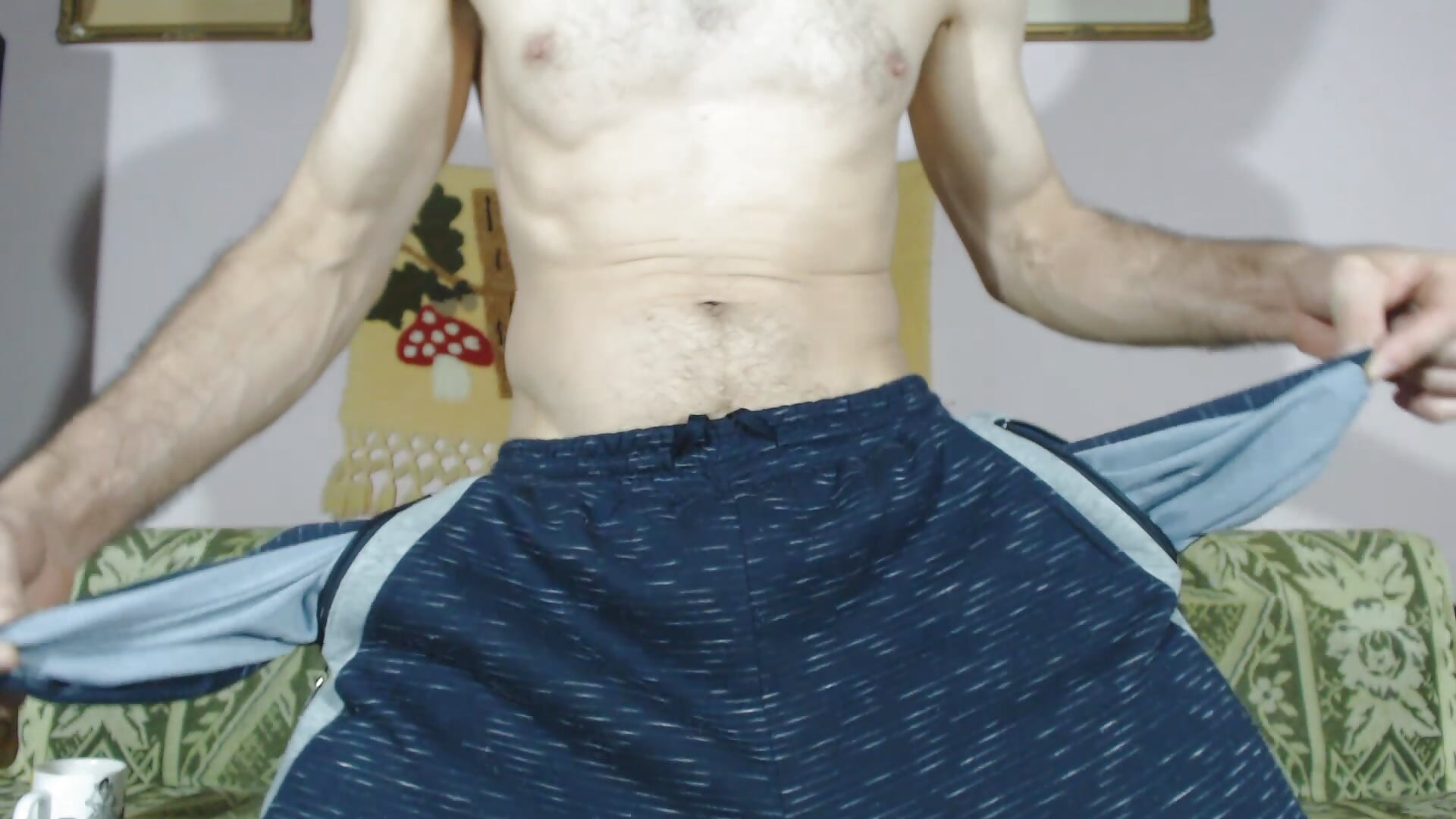 Hungarian elephant - video by TIVADAR73 cam model