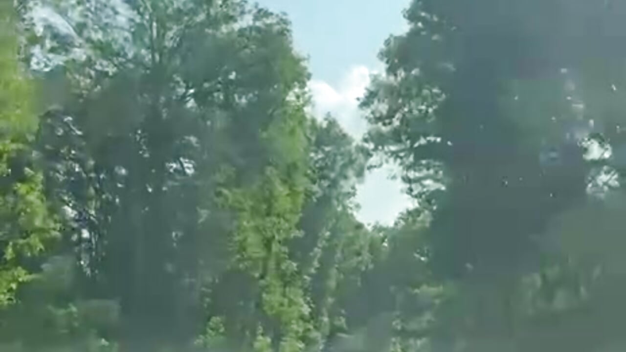 🔥🔥 - video di SolangeKindl modella di cam