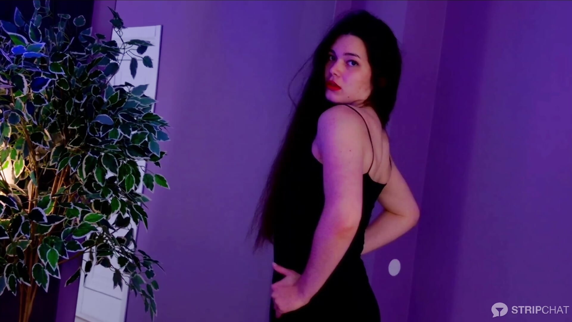 Baila Morena or Dance with me 🔥 – video af MaddieMeyer cam-model