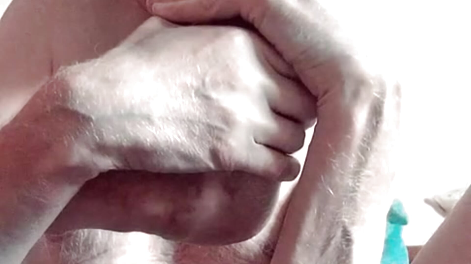 june 2026 ~ extended self footlove 💦💦💦💦💦 - video by feetlove5608 cam model