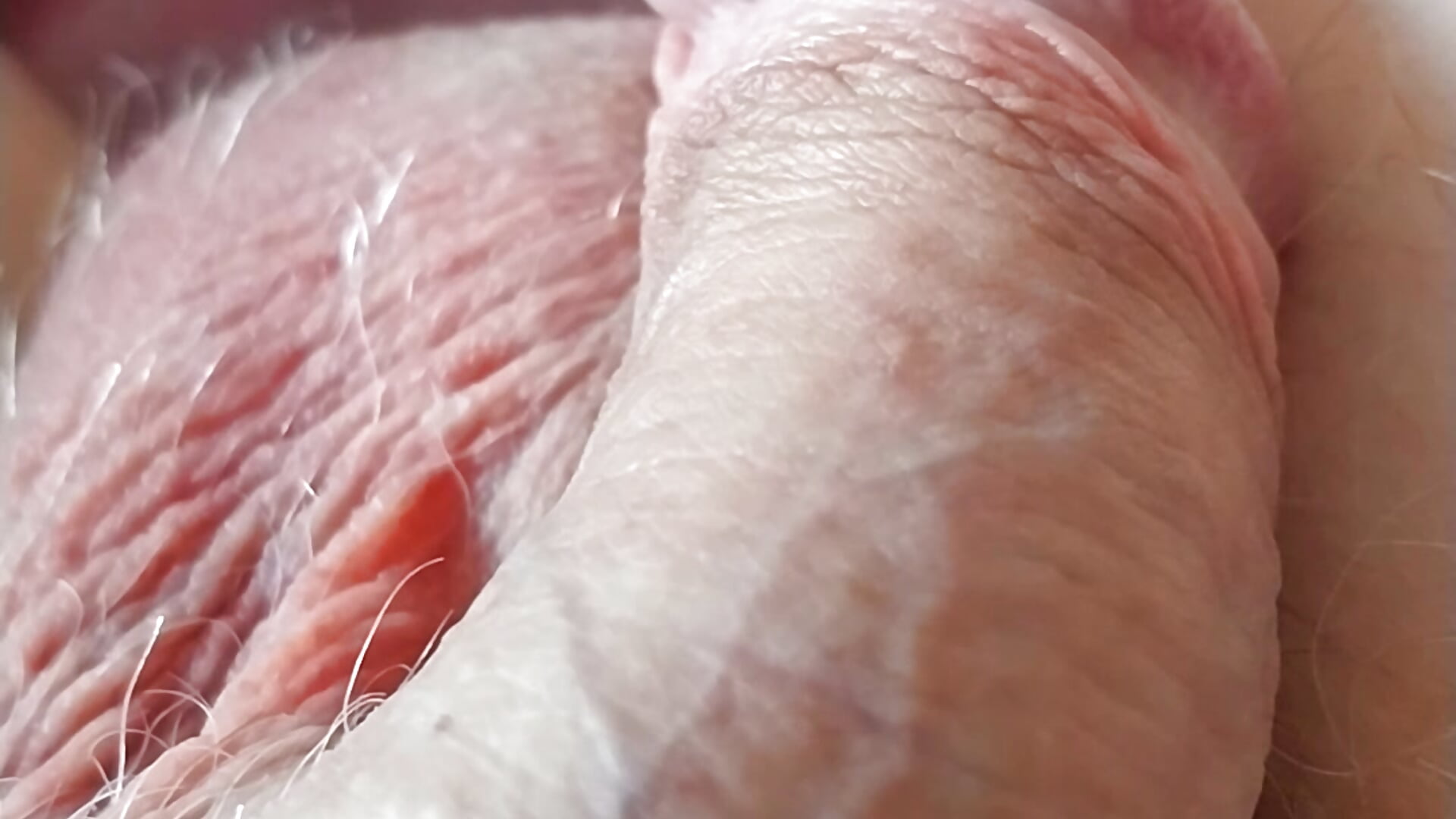 july 21st penis & balls closeup soft condition 💦💦💦 kiss my pubes - video by feetlove5608 cam model
