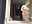 Shower show & Cum – video od webkamerové modelky SonyaBabyn