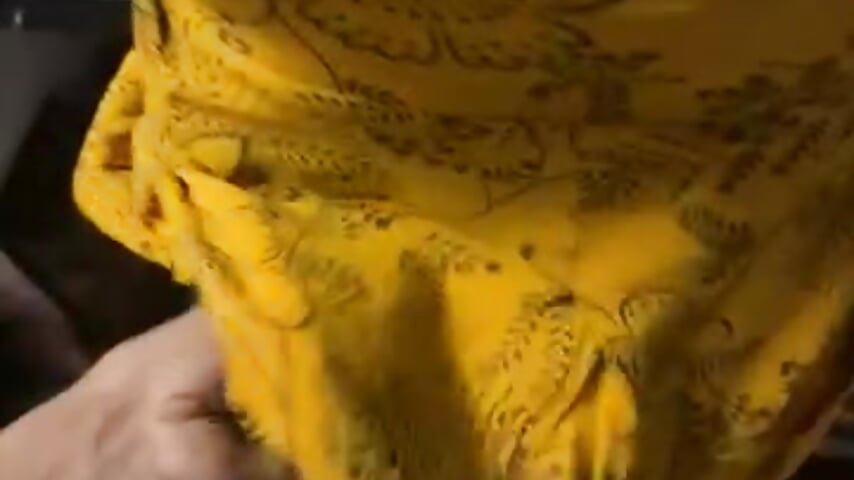 Sexy lady
