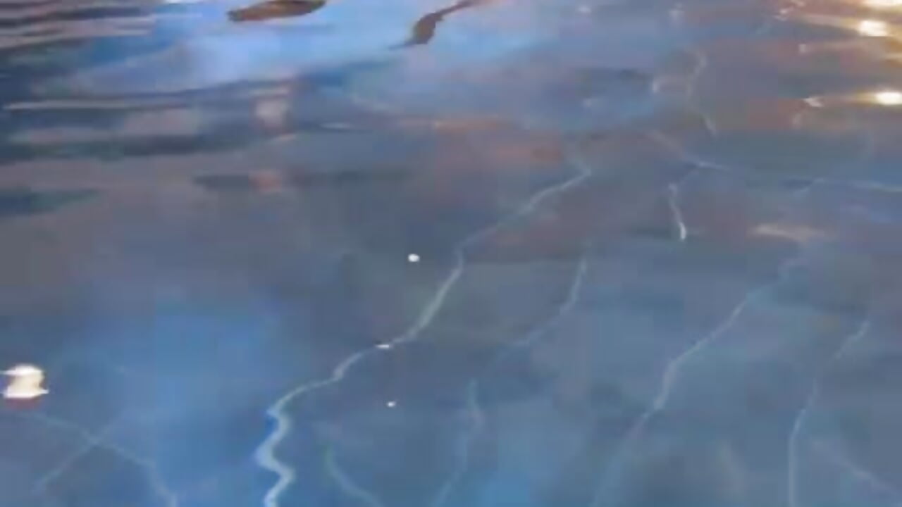 Wet swimsuit... come help me off with it 🩲 - video by Jean_Prime cam model
