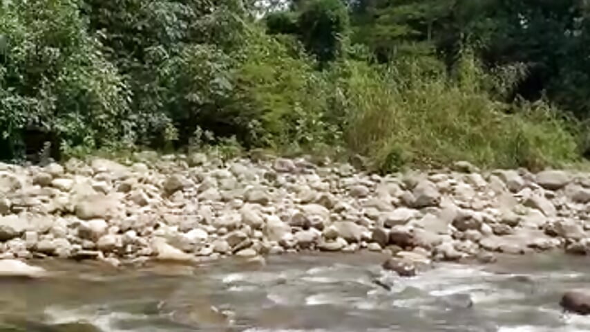 I'm a nature lover - video by Neytiri_Ss cam model
