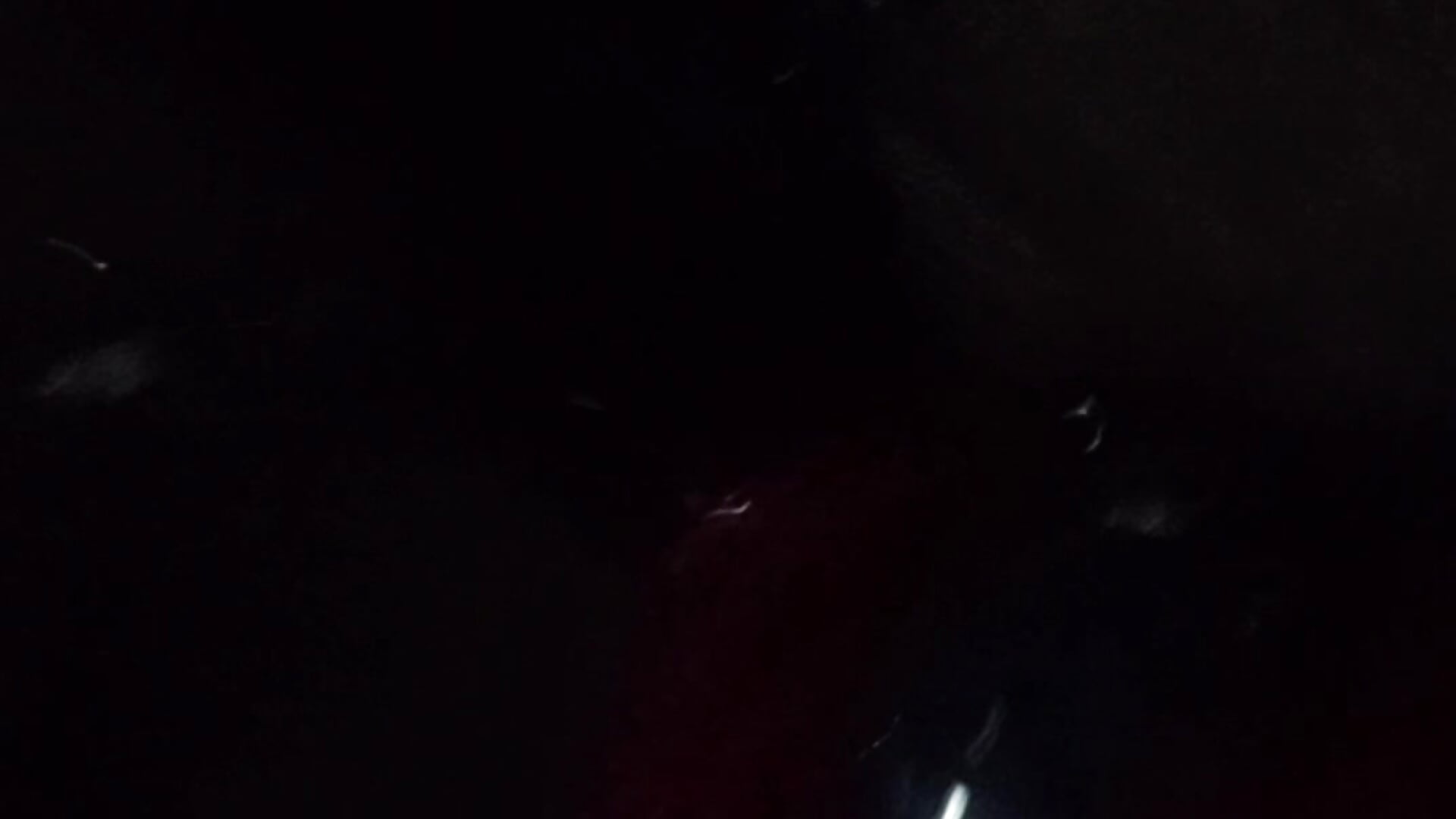 Siririco944 adlı kamer modelinin viral videoları:  3269