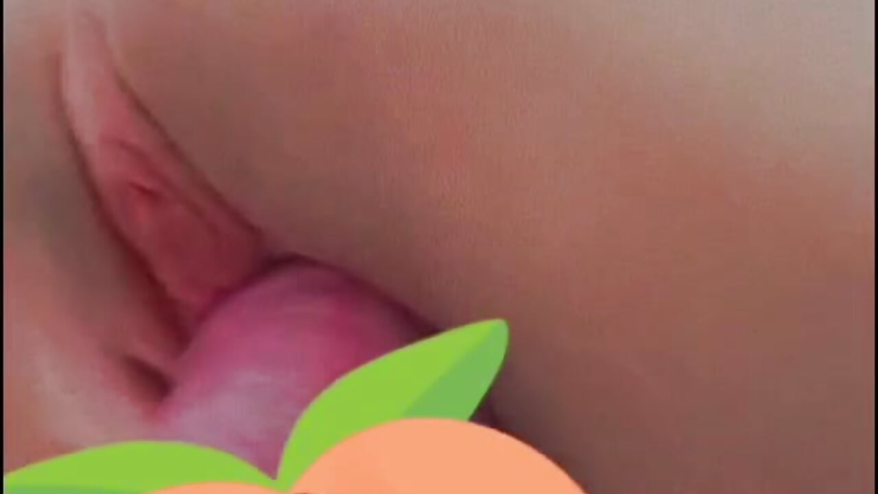 baseball bat