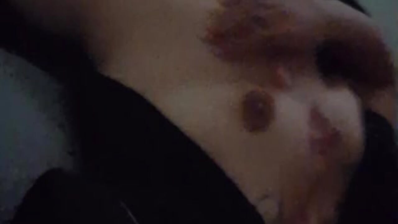  8555 Video Sohor Kini Model kamera - wapyoshi