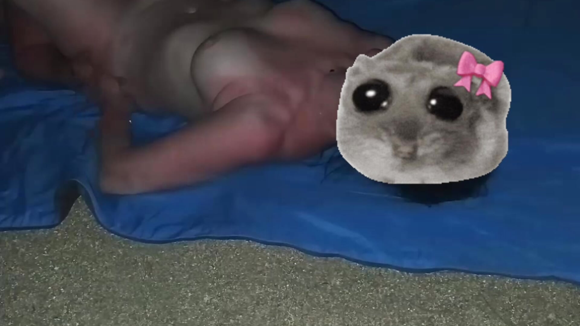 4597 - video by pica96 cam model