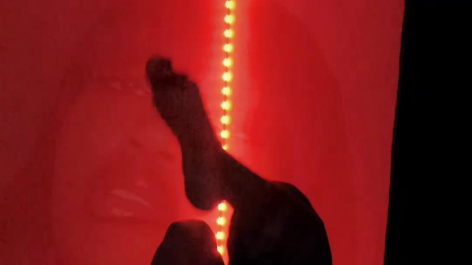 101698