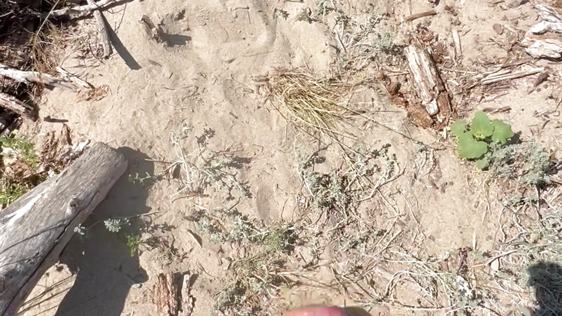 Ejaculation dans les dune plage - סרטון של Pogoseb, דוגמן/ית מצלמה