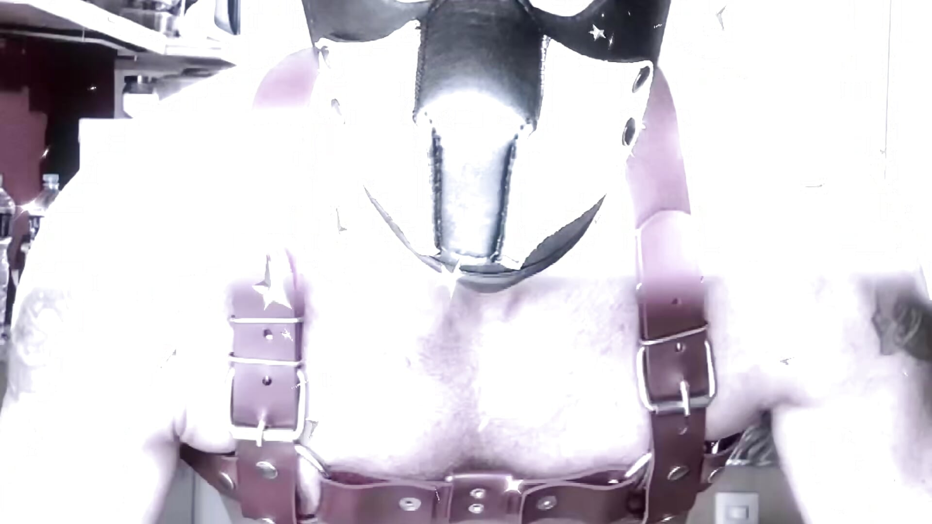9137945eb2004dc99cf909ae7bd31535 - video by Reginaldothedog cam model