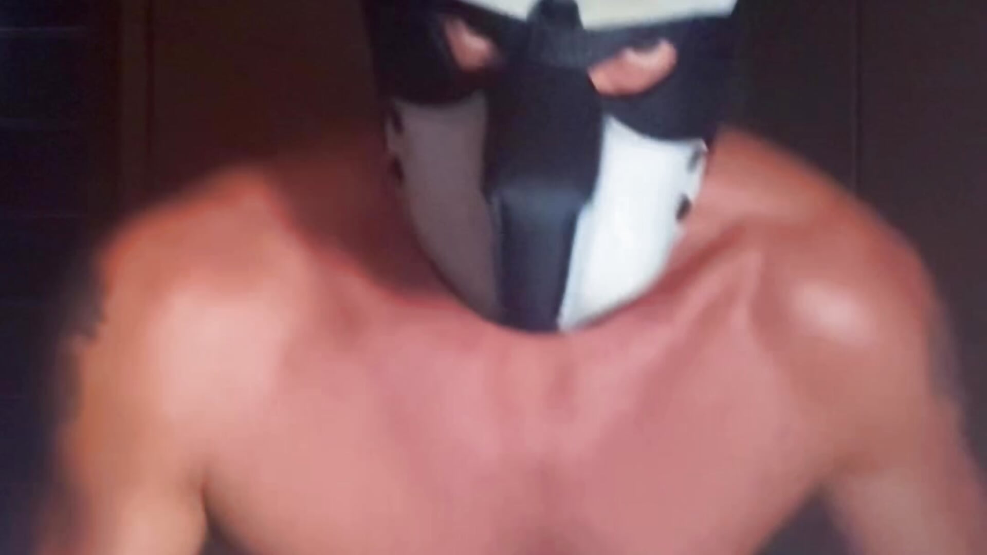 copy_CB2EEC52-03EC-47C0-9153-0EFDE26B1E4A - video by Reginaldothedog cam model