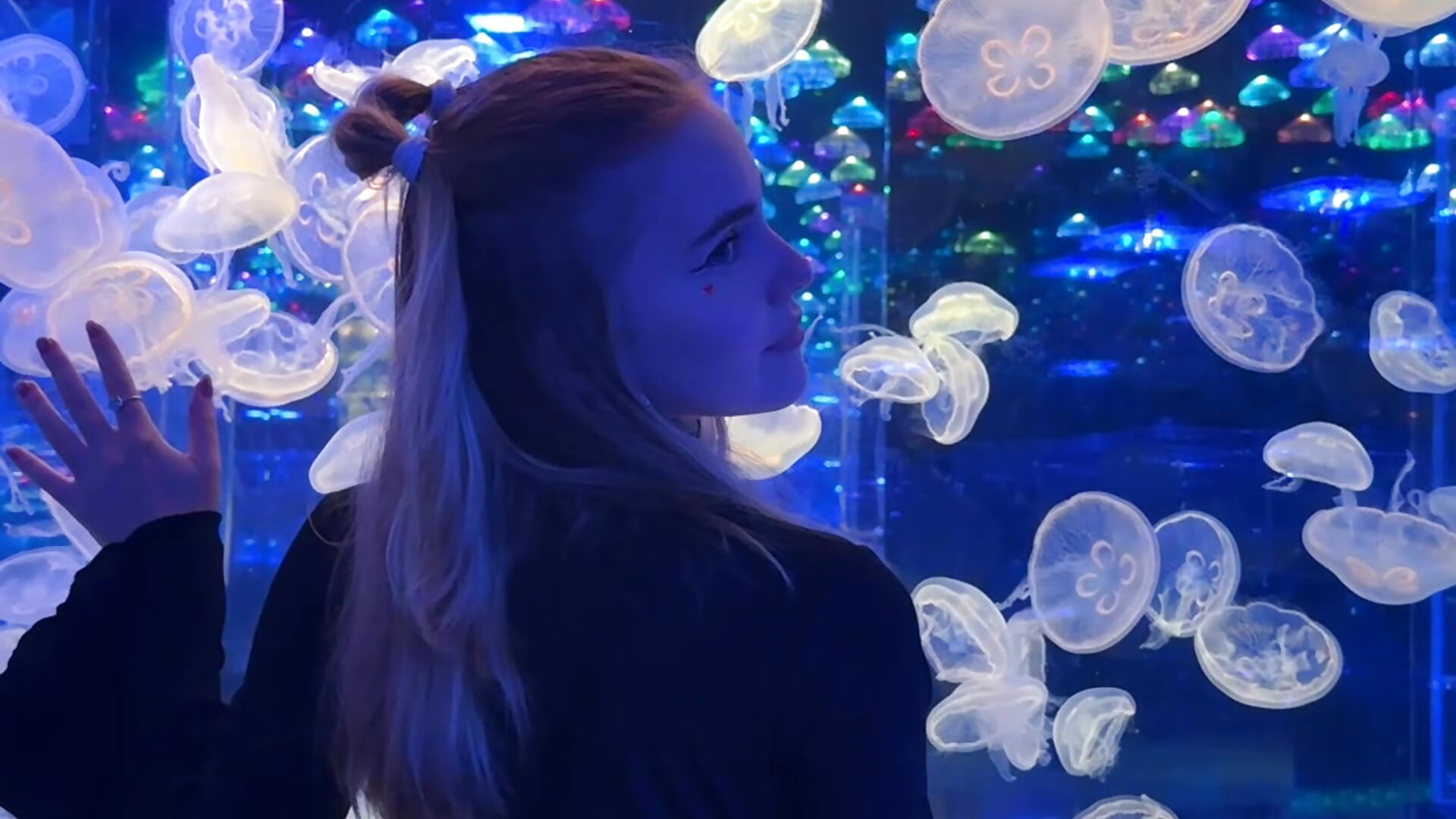 jellyfish dream - video av melliloom cam-modell