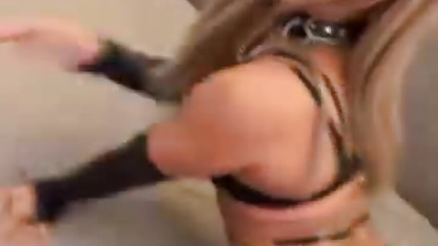 MeatyCockAkira