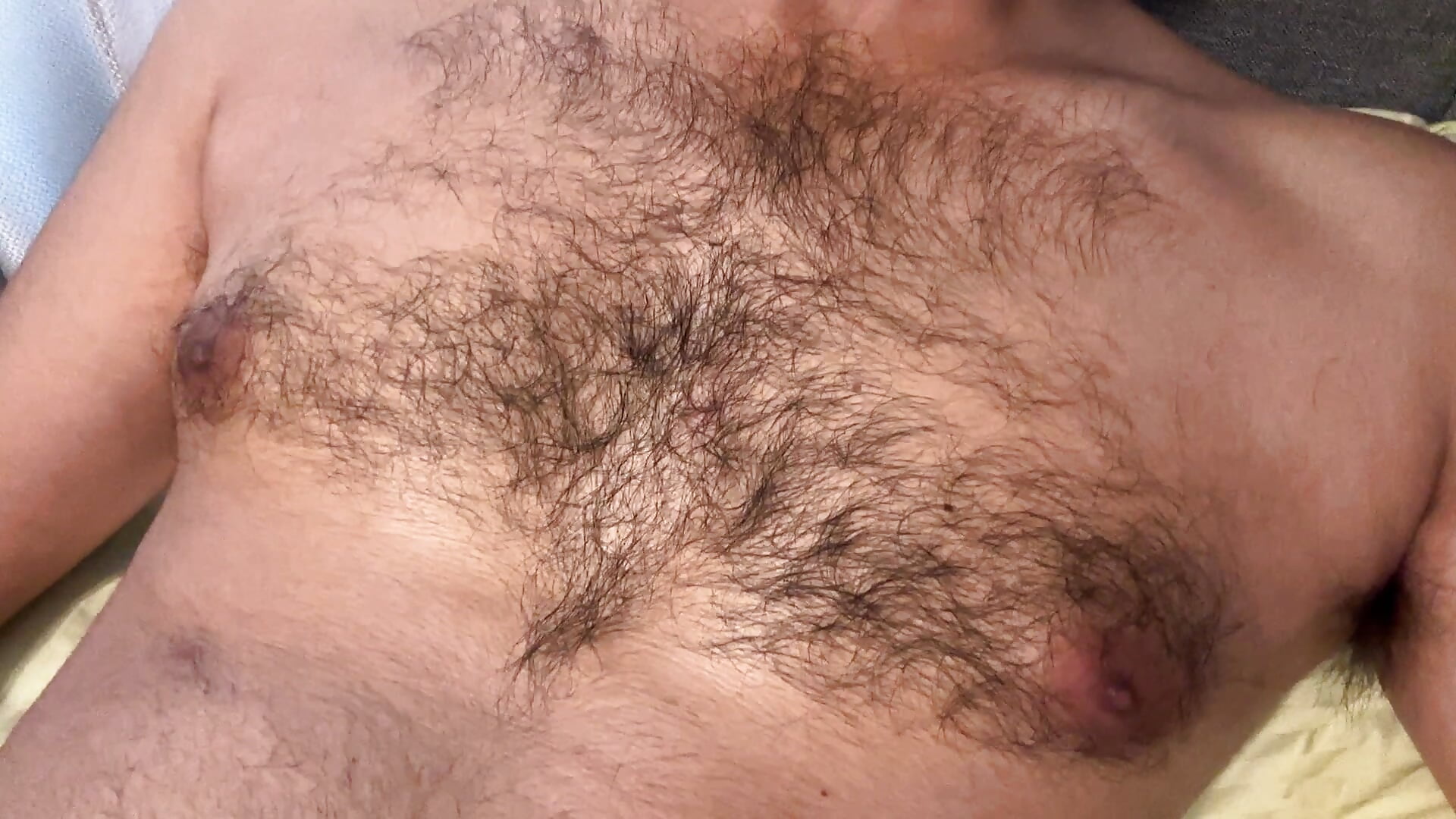 bcsflex0771